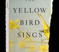 Saturday Spotlight– Jennifer Rosner